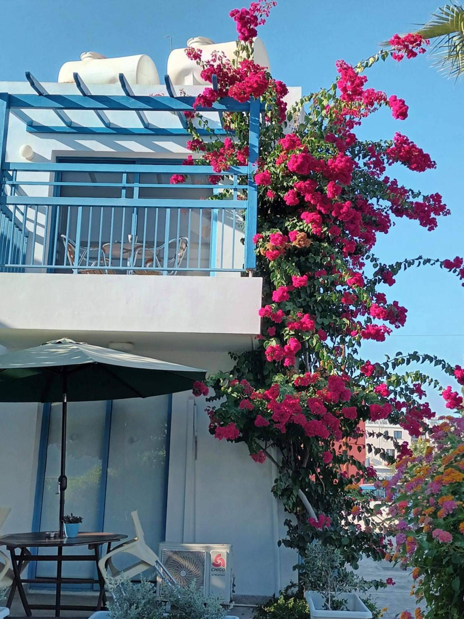 Ocean Blue Apartments Paphos Buitenkant foto
